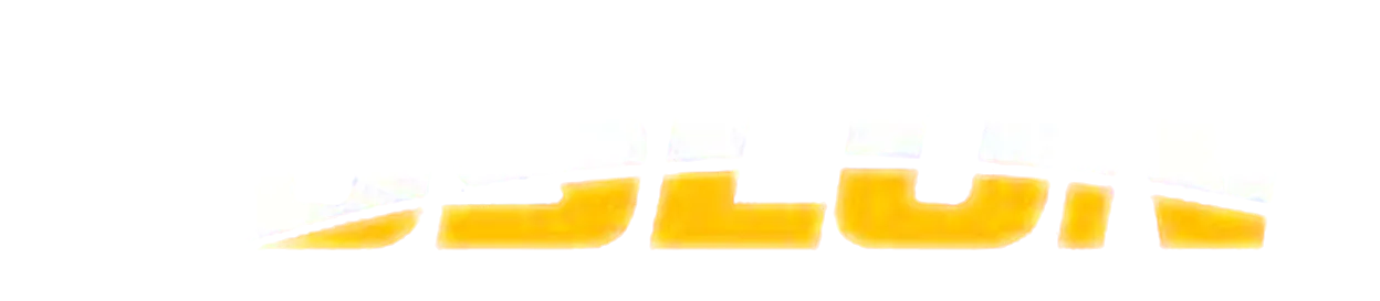 TOSLON